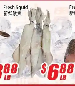 WinCo Food Mart Fresh Squid offer
