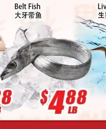 WinCo Food Mart Belt Fish offer