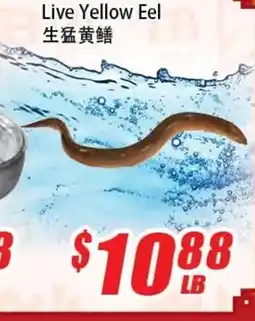 WinCo Food Mart Live Yellow Eel offer