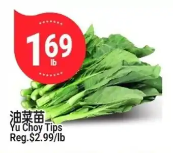 SunFood Supermarket Yu Choy Tips offer