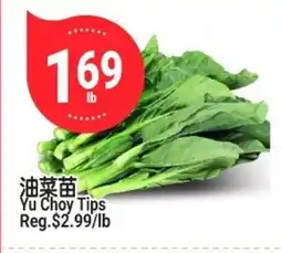 SunFood Supermarket Yu Choy Tips offer