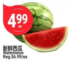 SunFood Supermarket Watermelon offer