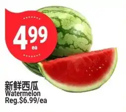 SunFood Supermarket Watermelon offer