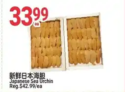 SunFood Supermarket Japanese Sea Urchin offer