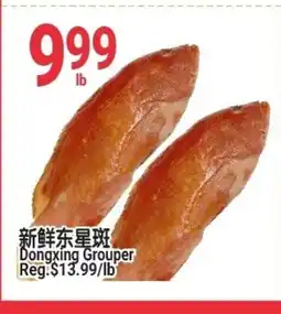 SunFood Supermarket Dongxing Grouper offer