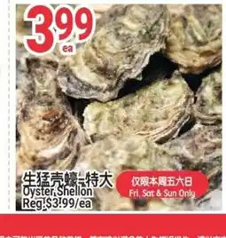 SunFood Supermarket Oyster Shellon offer