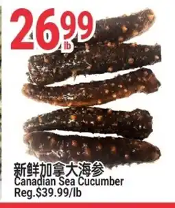 SunFood Supermarket Canadian Sea Cucumber offer