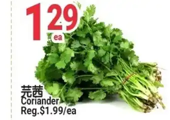 SunFood Supermarket Coriander offer