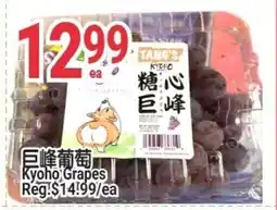 SunFood Supermarket Kyoho Grapes offer