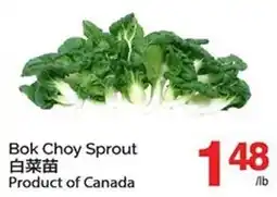 T&T Supermarket Bok Choy Sprout offer