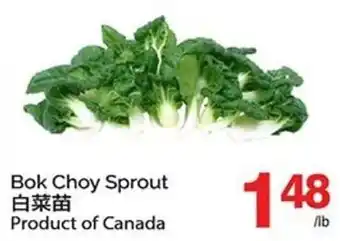 T&T Supermarket Bok Choy Sprout offer