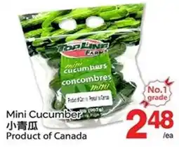 T&T Supermarket Mini Cucumber offer