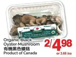 T&T Supermarket Organic Black Oyster Mushroom offer