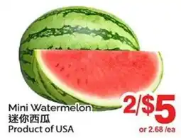 T&T Supermarket Mini Watermelons offer
