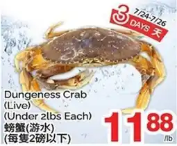 T&T Supermarket Dungeness Crab (Live) (Under 2lbs Each) offer