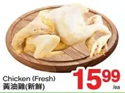 T&T Supermarket Chicken (Fresh) offer