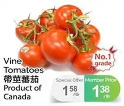 T&T Supermarket Vine Tomatoes offer