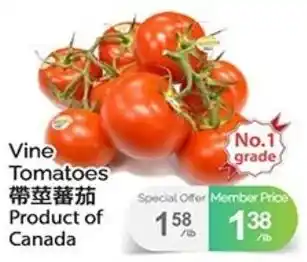 T&T Supermarket Vine Tomatoes offer