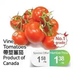 T&T Supermarket Vine Tomatoes offer