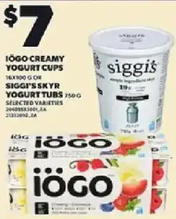 Loblaws Iögo creamy yogurt cups offer