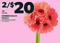 Loblaws Gerbera daisy bunch offer