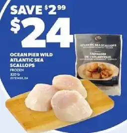 Loblaws Ocean pier wild atlantic sea scallops offer