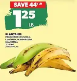 Loblaws Plantains offer