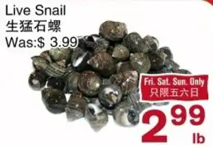 First Choice Supermarket Live Snail offer