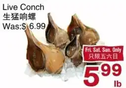 First Choice Supermarket Live Conch offer