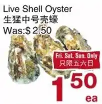 First Choice Supermarket Live Shell Oyster offer