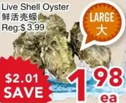 Yours Food Mart Live Shell Oyster offer