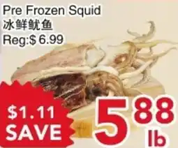 Yours Food Mart Pre Frozen Squid offer