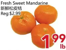 Yours Food Mart Fresh Sweet Mandarine offer