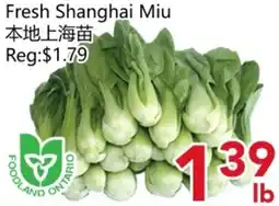 Yours Food Mart Fresh Shanghai Miu offer
