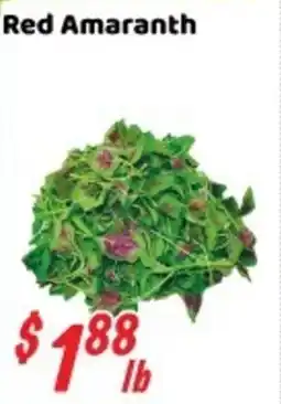 Nations Fresh Foods Red Amaranth offer