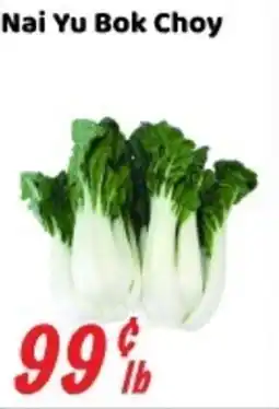Nations Fresh Foods Nai Yu Bok Choy offer