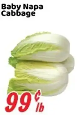 Nations Fresh Foods Baby Napa Cabbage offer