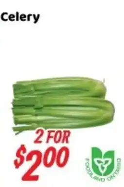 Nations Fresh Foods Celery offer