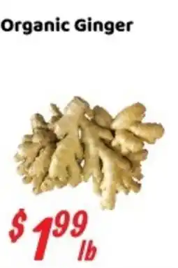 Nations Fresh Foods Organic Ginger offer
