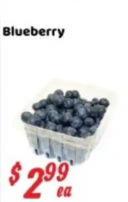 Nations Fresh Foods Blueberry offer