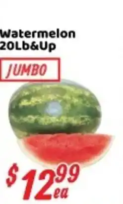 Nations Fresh Foods Watermelon offer