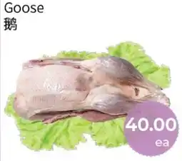 FreshWay Foodmart Goose offer
