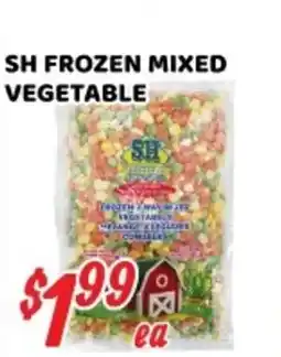 Nations Fresh Foods SH Frozen Mixed Vegetable offer