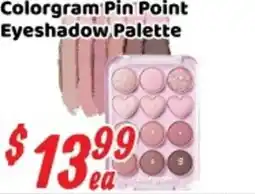 Nations Fresh Foods Colorgram Pin Point Eyeshadow Palette offer