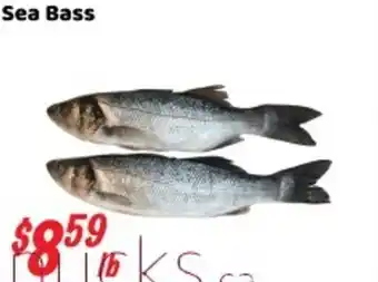Nations Fresh Foods Sea Bass offer