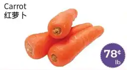 FreshWay Foodmart Carrot offer