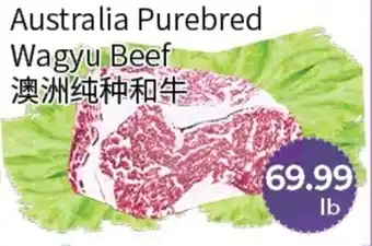 FreshWay Foodmart Australia Purebred Wagyu Beef offer
