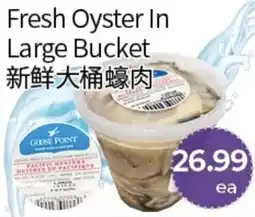 FreshWay Foodmart Fresh Oyster In Large Bucket offer