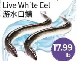 FreshWay Foodmart Live White Eel offer