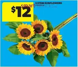 Dominion 5 Stem Sunflowers offer